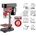 Raider RDP-BD04 (011104)