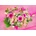 Bluebird Puzzle - Puzzle Pink Bouquet of Roses - 500 piese