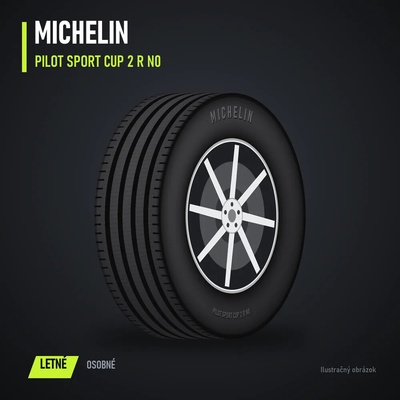 Michelin SPORT CUP 2 325/30 R21 108Y