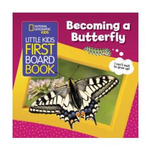 Becoming a Butterfly | Musgrave, Ruth A (ISBN: 9781426374128)