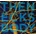 NECKS: BODY CD