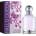 Fragrance World Hallo Queen EDP 100 ml
