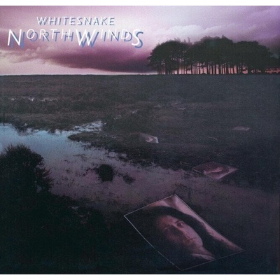 Whitesnake - Northwinds (Black Ice Coloured) (Limited Edition) (LP) (0603497823888)