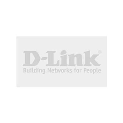 D-Link DWS-316024TCAP12-LIC