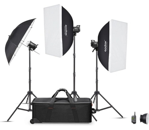 Godox MS300V-D