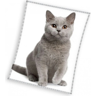 Mikroflanelová dětská deka Britská Kočka Šedá