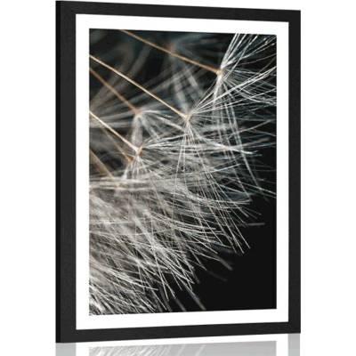 Plakát s paspartou krása pampelišky - 20x30 black
