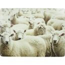 Mars & More 4 ks pevné korkové prestieranie Ovce 30x40x0,4 cm
