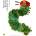 Very Hungry Caterpillar