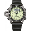 Citizen JP2007-17W