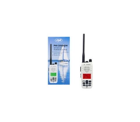 PNI DS890W