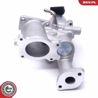 AGR-Ventil ESEN SKV 14SKV167