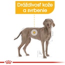 Royal Canin Maxi Dermacomfor 12 kg