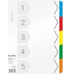 Tryton Cardboard holders Biurfol A4 5 cards