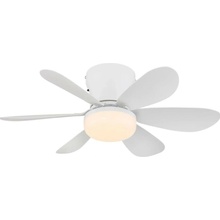 Globo 03625W