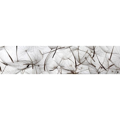 050 Samolepící fototapeta do kuchyně - Pampeliškové chmýří, 260x60cm