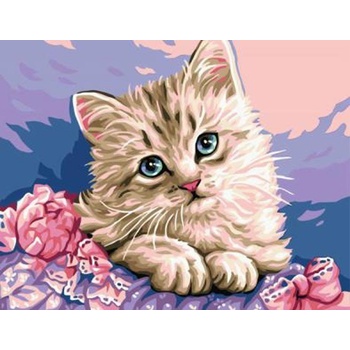 Image 1 of Norimpex - Puzzle Diamant painting: Cat's eye 30x40cm - 1 - 39 piese