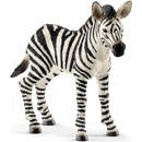 Schleich 14811 Zebra Foal