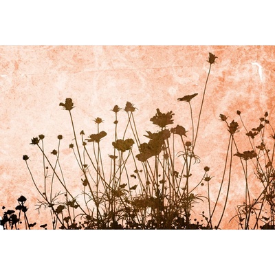 Dimex MS-5-2008 Vliesová fototapeta Abstraktní louka rozměry 375 x 250 cm