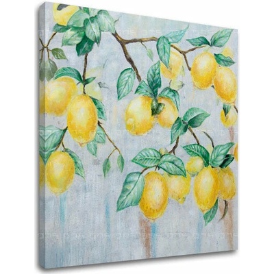 Obraz na plátně CITRONY 1 díl - 80x80 cm