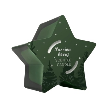 SOLVENT Import dod. PL Свещ Q Home Star green 125 г