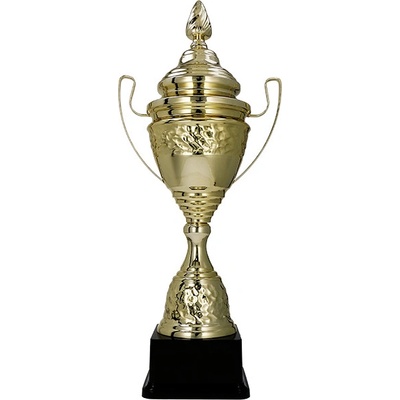 Kovová pohár Zlatý 66,5 cm 18 cm