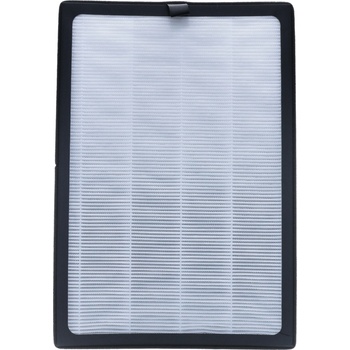 Noaton AP 2145HCT filter