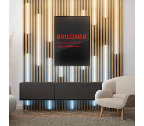 Briloner 8020294