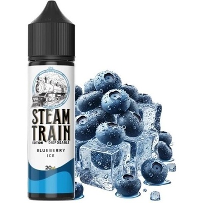 Steam Train - Blueberry Ice 20ml/60ml