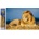 Norimpex - Puzzle Diamant painting: Lion majesty 30x40cm - 1 - 39 piese