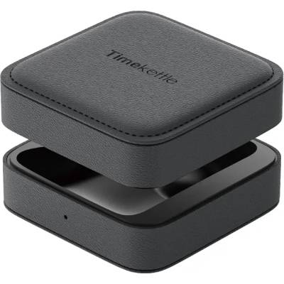 Timekettle W4 Pro Headphone Case (4202910090-2)