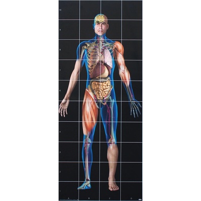 BeeBot & BlueBot Podložka Lidské Tělo