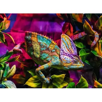 Ravensburger - Puzzle Chameleon - 500 piese