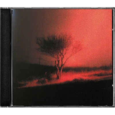 JOJI - PISS IN THE WIND CD