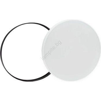 Image 1 of Wojnarowscy Nymphea WJ0356