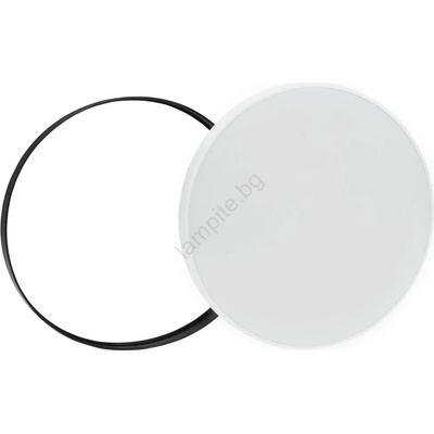 Wojnarowscy Nymphea WJ0356