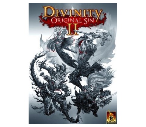 Divinity: Original Sin 2
