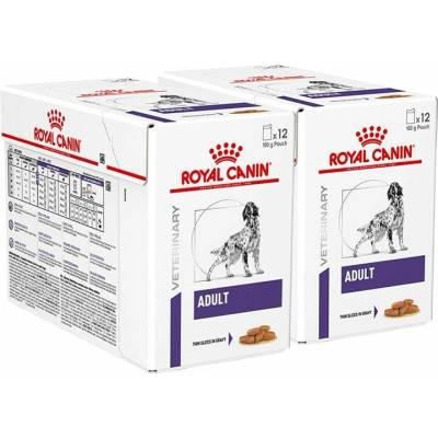 Royal Canin VHN Adult Dog v omáčke 24 x 100 g