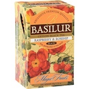 Basilur Magic Raspberry & Rosehip 20 x 2 g