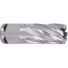 ABSE N-HS-W19-0190025