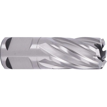 ABSE N-HS-W19-0190025