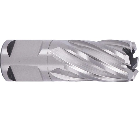 ABSE N-HS-W19-0190025