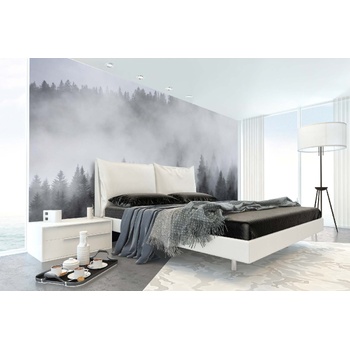 DIMEX ART s. r. o Самозалепваща се флизелинова фототапета мъгла 375 x 250 см