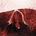SEGALL TY: MANIPULATOR LP