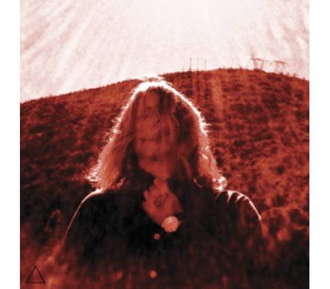 SEGALL TY: MANIPULATOR LP
