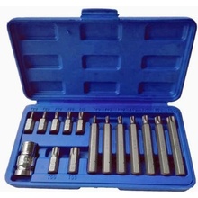TRIUMF Sada bitov Torx 5-cípy vŕtaný, 10 mm driek, 15-dielna s adaptérom.