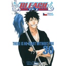Bleach 30 - Tite Kubo