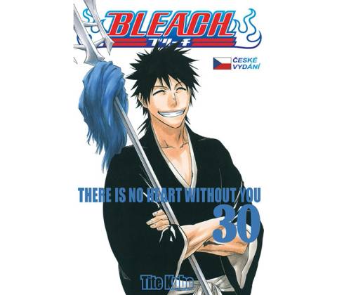 Bleach 30 - Tite Kubo