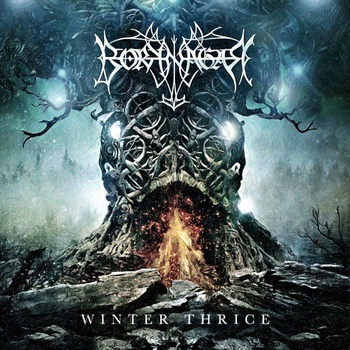 Winter Thrice - Borknagar CD