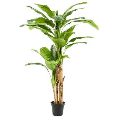 Umelá rastlina Banana Tuff (27 lvs.) 2pp 210 cm